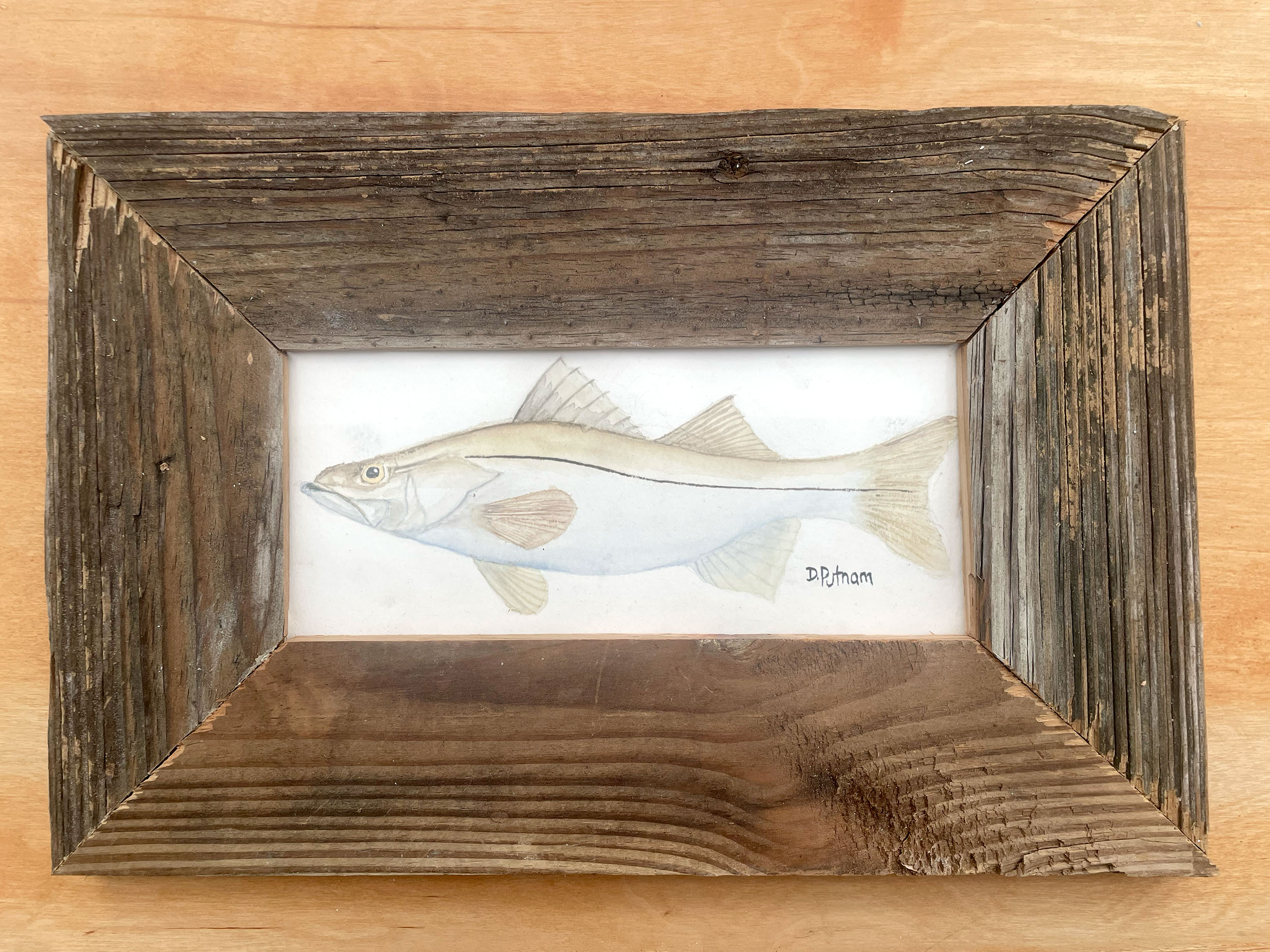 Watercolor Snook in handcrafted frame by Dan Putnam