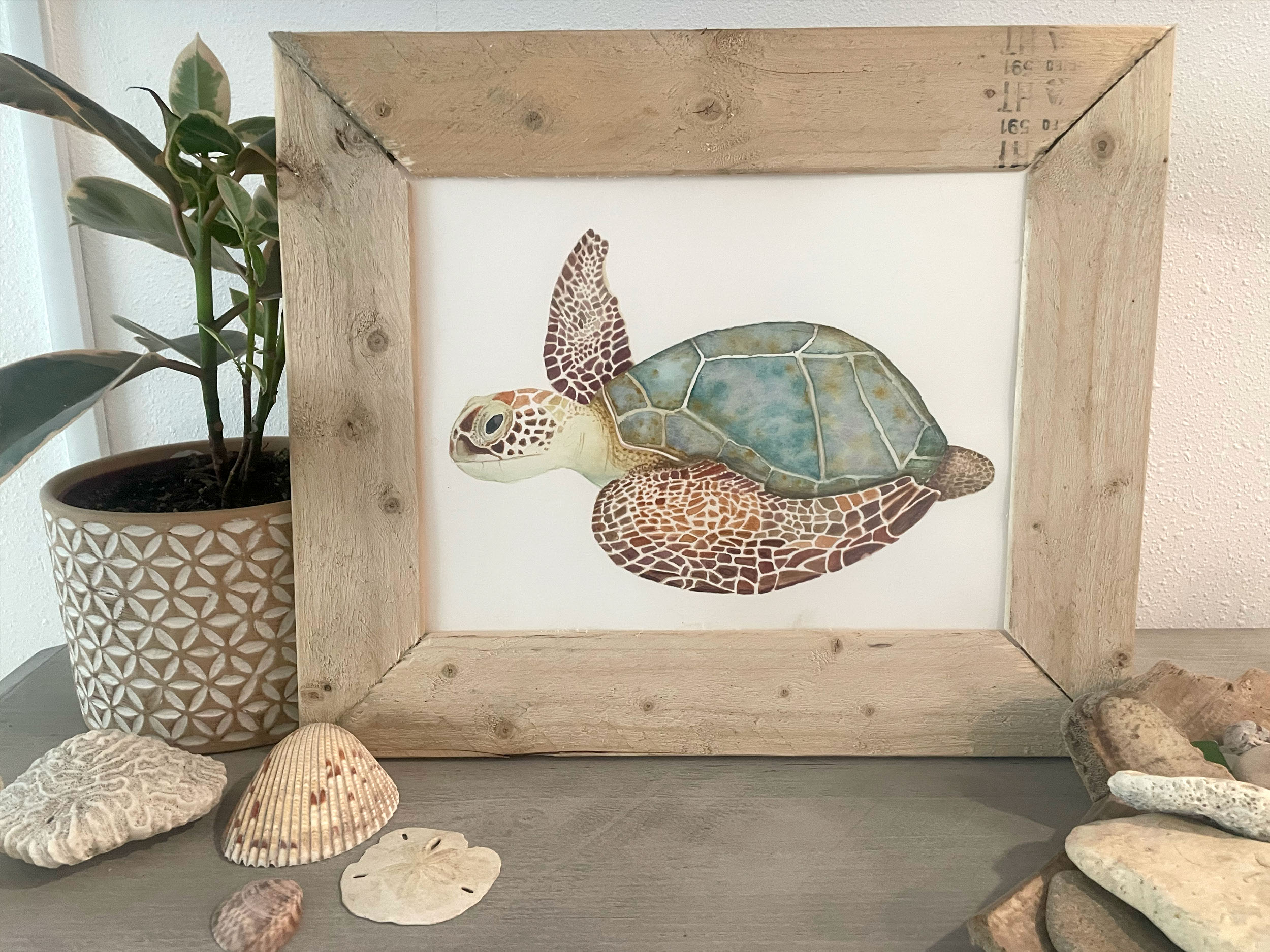 Original watercolor of sea turtle in handcrafted wood frame by Dan Putnam