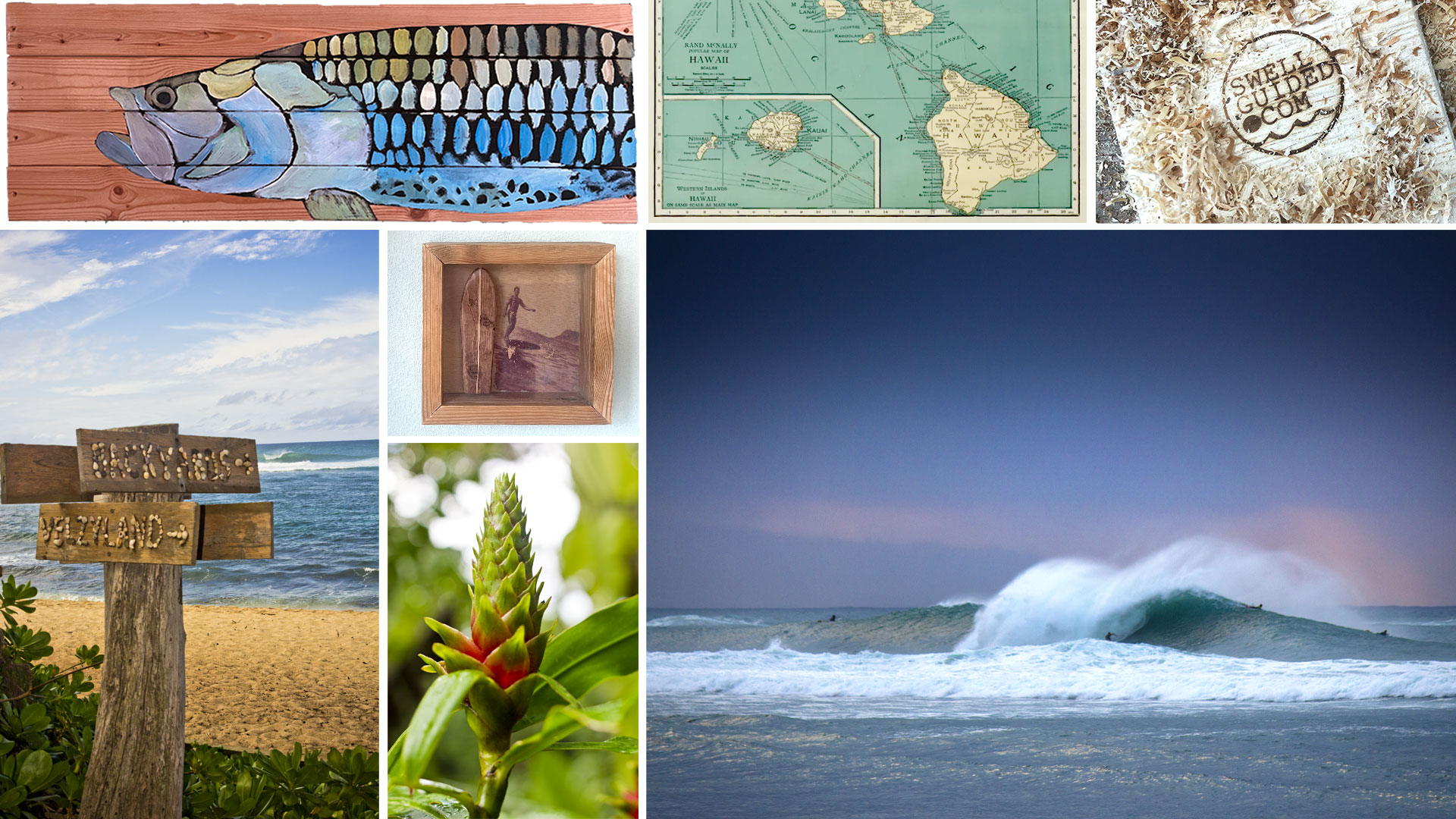 Backyards Vland Hawaii